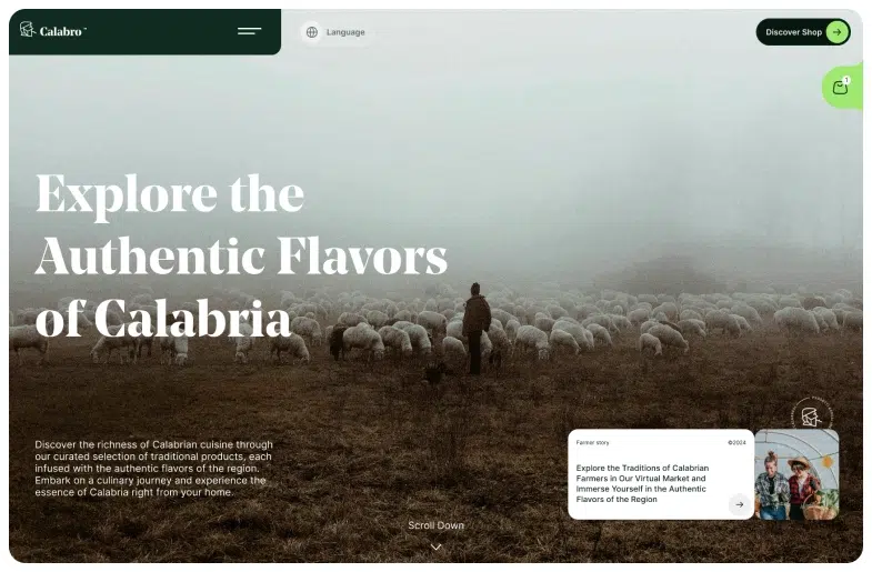 screen website calabro